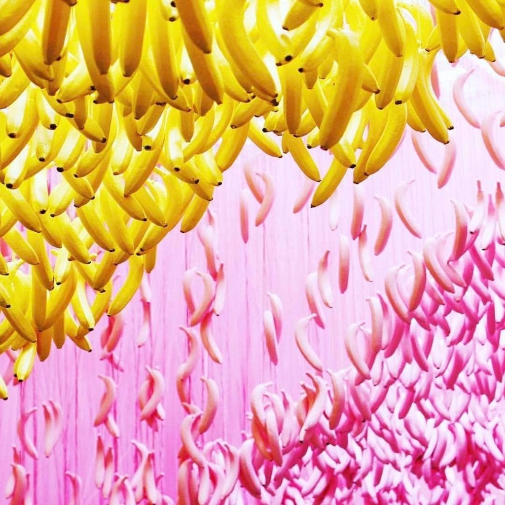 2r_Creative's tweet image. .@chantelle_bears captures the most bananas exhibit at the @museumoficecream in Los Angeles 🍭 📸 : @candyminimal #candyminimal instagr.am/p/CDzAbWIAVEs/