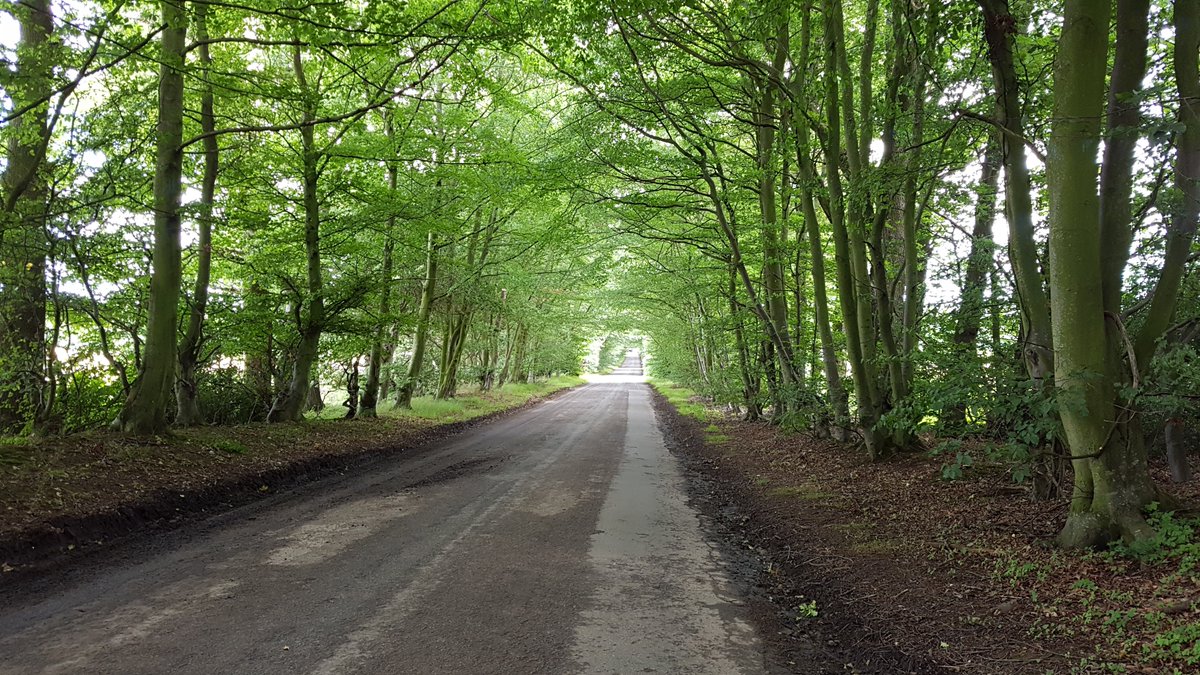 cornish_jack's tweet photo. Three year' ago walking through the Lothian countryside and out onto the Firth of Forth. 1143 miles into Land's End to John O'Groats.
#LEJOG2017 #LandsEndToJohnOGroats #Lothian #FirthofForth #Musselburgh
DAY 75: Blinkbonny Wood to Musselburgh (20.10m)
https://t.co/vyxDfA8Gkc https://t.co/DHAiTnq6Ff