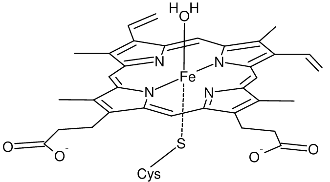 Ali Younis tweet media