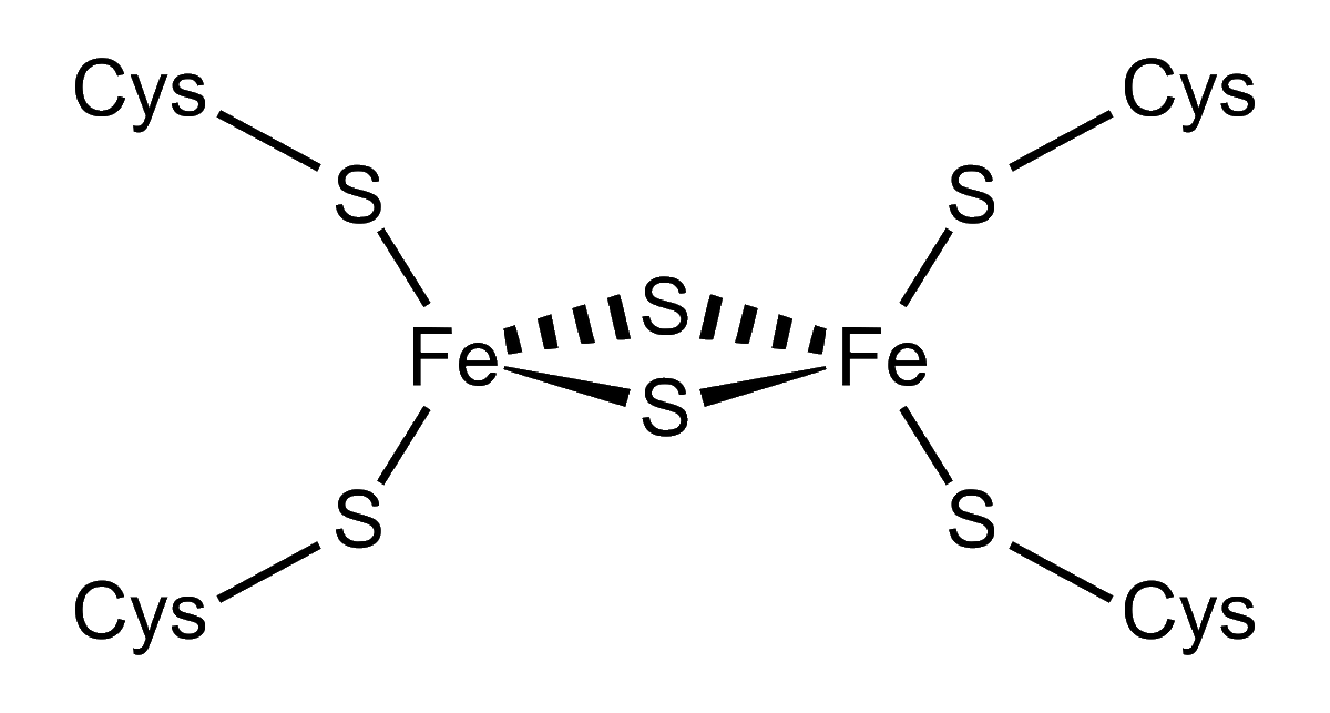 It's #BlackinInorganic Wednesday! I've spent a lot of my time being #BlackInChem trying to understand how nature uses heavy metals to store, transfer, and create energy in metalloproteins. My favorite transition metal is iron because it's buried in so many cool proteins!