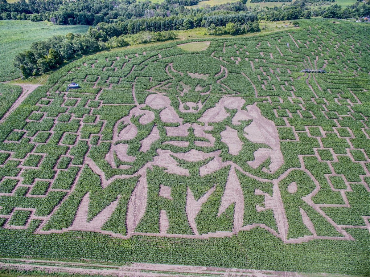 Looking for a way to get outside with the family? The Great Vermont Corn Maze is open for the season, taking advanced reservations with limited tickets. Get lost in the maize: vermontcornmaze.com