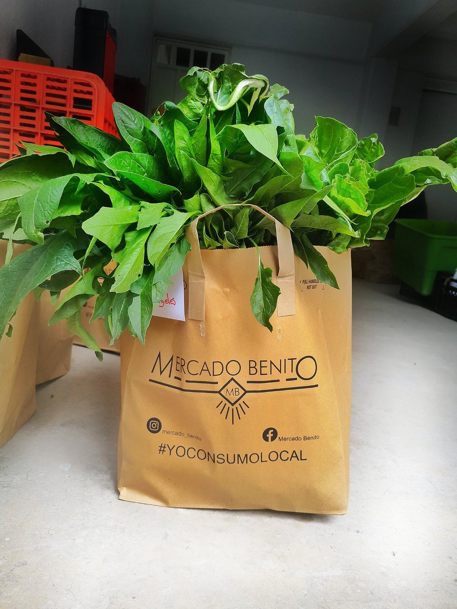 mercadobenitobj's tweet photo. @En_laDelValle más de 200 productos orgánicos, veganos, agroecológicos y sustentables directo del productor a tu puerta ☕🍵🍞🌽🥚🧀 Envío gratis para Alcaldía BJ en pedidos mayores a $200 #BjaDomicilio https://t.co/wPzFj8I78o