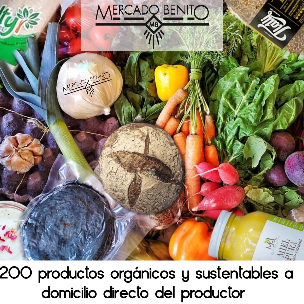 mercadobenitobj's tweet photo. @En_laDelValle más de 200 productos orgánicos, veganos, agroecológicos y sustentables directo del productor a tu puerta ☕🍵🍞🌽🥚🧀 Envío gratis para Alcaldía BJ en pedidos mayores a $200 #BjaDomicilio https://t.co/wPzFj8I78o