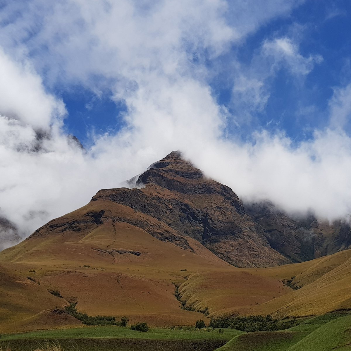 Andrew Fenwick 🇿🇦 tweet media