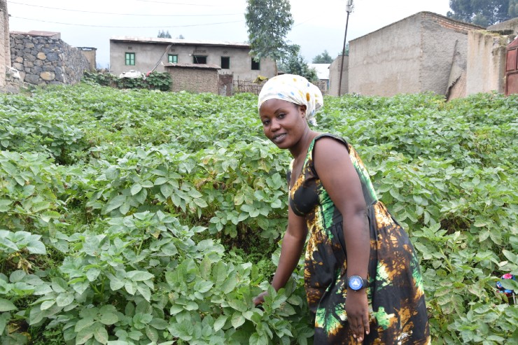 Empowering #youth in Rwanda to become successful #agripreneurs. How? STARS introduced A-CAT, a loan assessment tool.
 bit.ly/2DJoVWo
 #entrepreneur