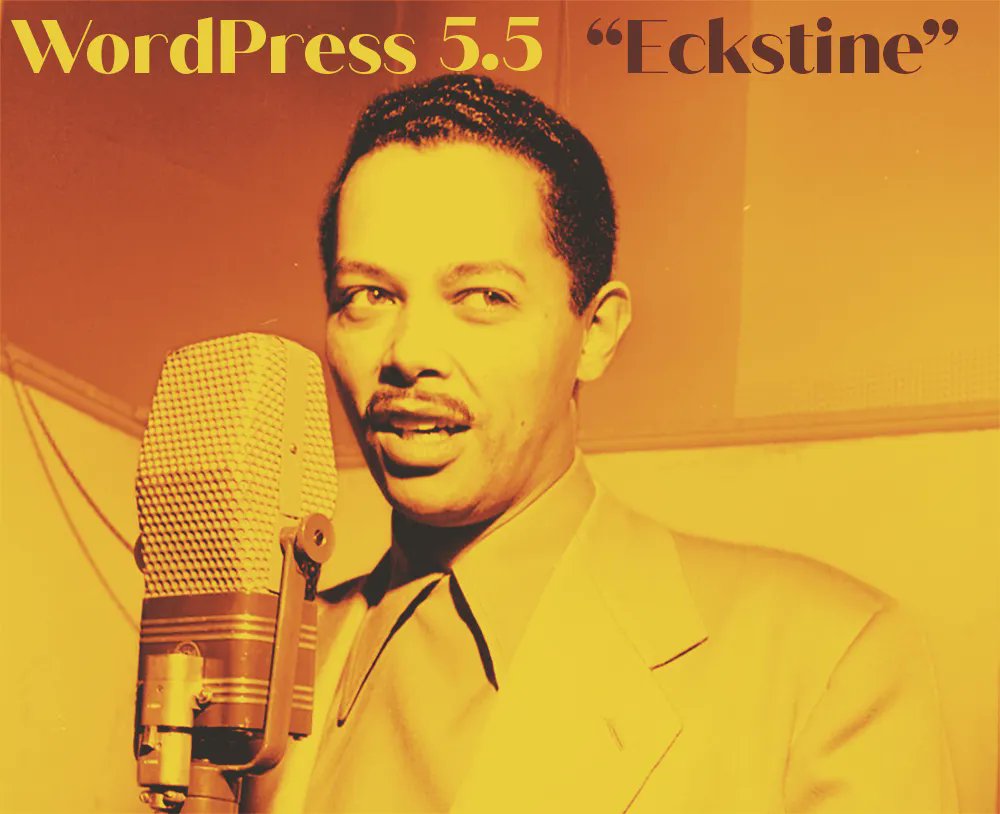 cernak_io's tweet photo. Updating many websites today. WordPress 5.5 “Eckstine” is out. https://t.co/iHKoVxW6qK https://t.co/fmGevp7pg9