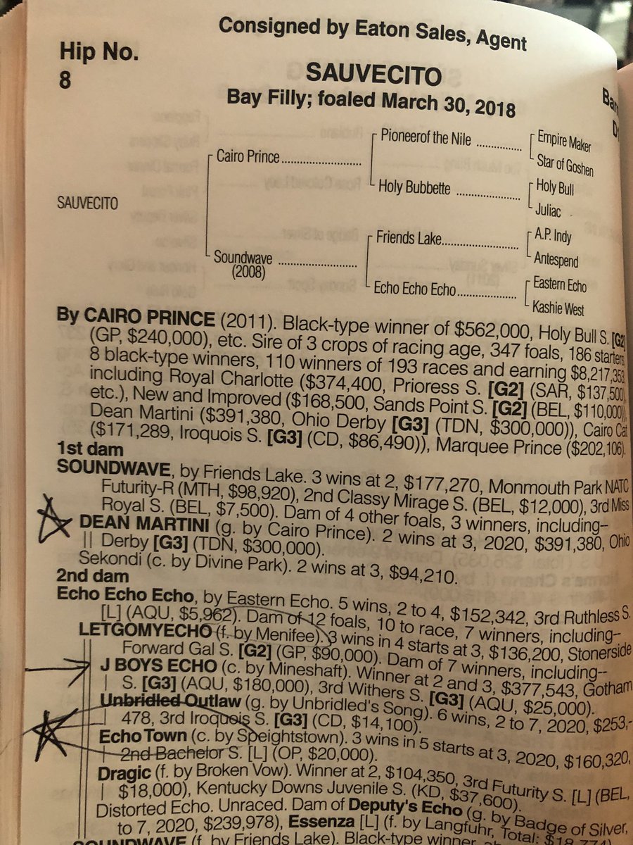 DerbyTalk's tweet photo. @TTAtexas Hip 8 Cairo Prince KY f 🔥 DeanMartini @TomAmossRacing & Echo Town close! Hip 9 #MofortheMoney (half to G1 Moonshine Memories via Evil Elaine #TiztheLaw) LA f 🔥boasts impressive 2nd dam & G1 3rd dam offspring #BottomSide @HighlanderTrai3 @KarlBroberg @FrankAlosa @ceejayjohnsen https://t.co/3IkSI7FCiW