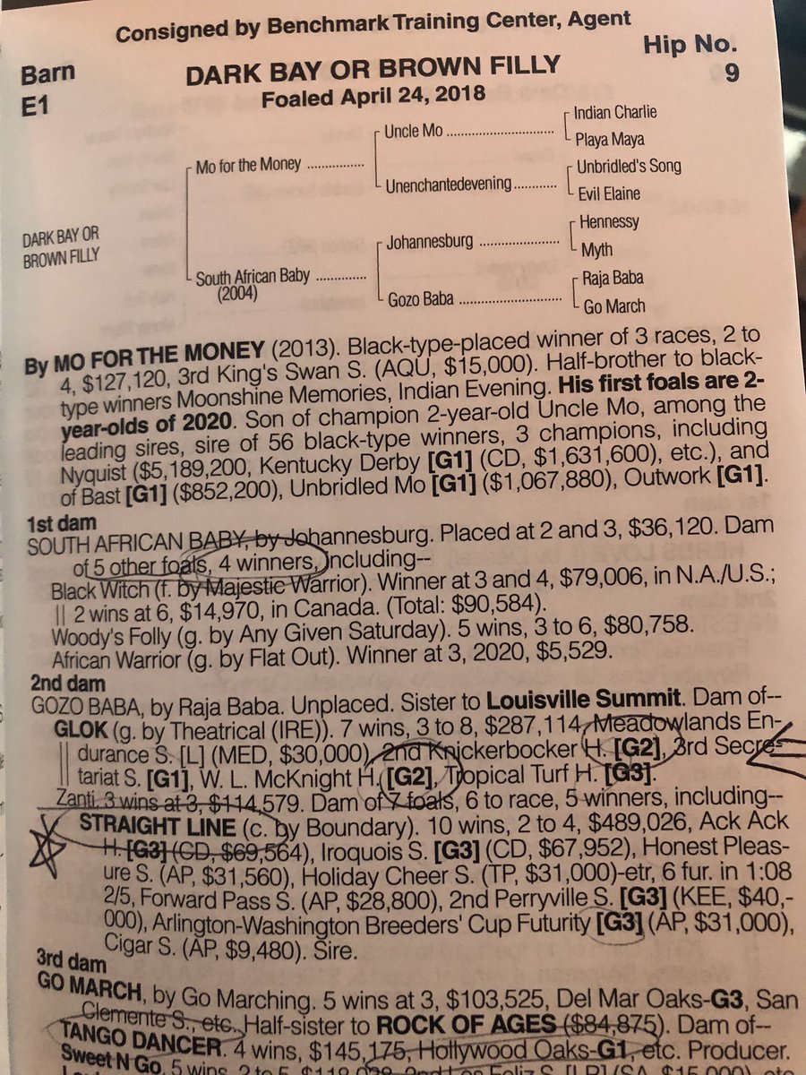 DerbyTalk's tweet photo. @TTAtexas Hip 8 Cairo Prince KY f 🔥 DeanMartini @TomAmossRacing & Echo Town close! Hip 9 #MofortheMoney (half to G1 Moonshine Memories via Evil Elaine #TiztheLaw) LA f 🔥boasts impressive 2nd dam & G1 3rd dam offspring #BottomSide @HighlanderTrai3 @KarlBroberg @FrankAlosa @ceejayjohnsen https://t.co/3IkSI7FCiW