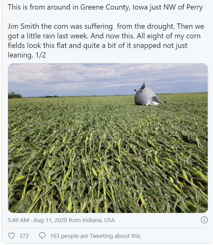 corngreencorn's tweet photo. https://t.co/EMwunt9wZX