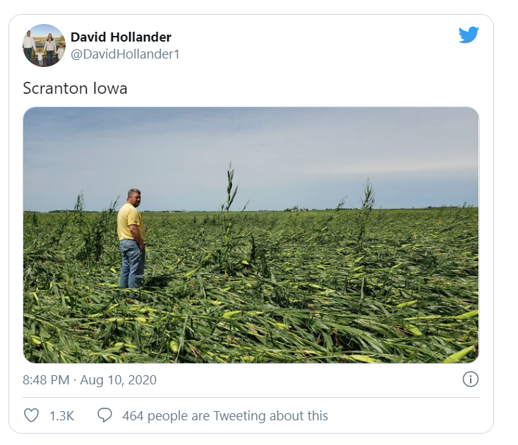 corngreencorn's tweet photo. https://t.co/GM7IarVUDA