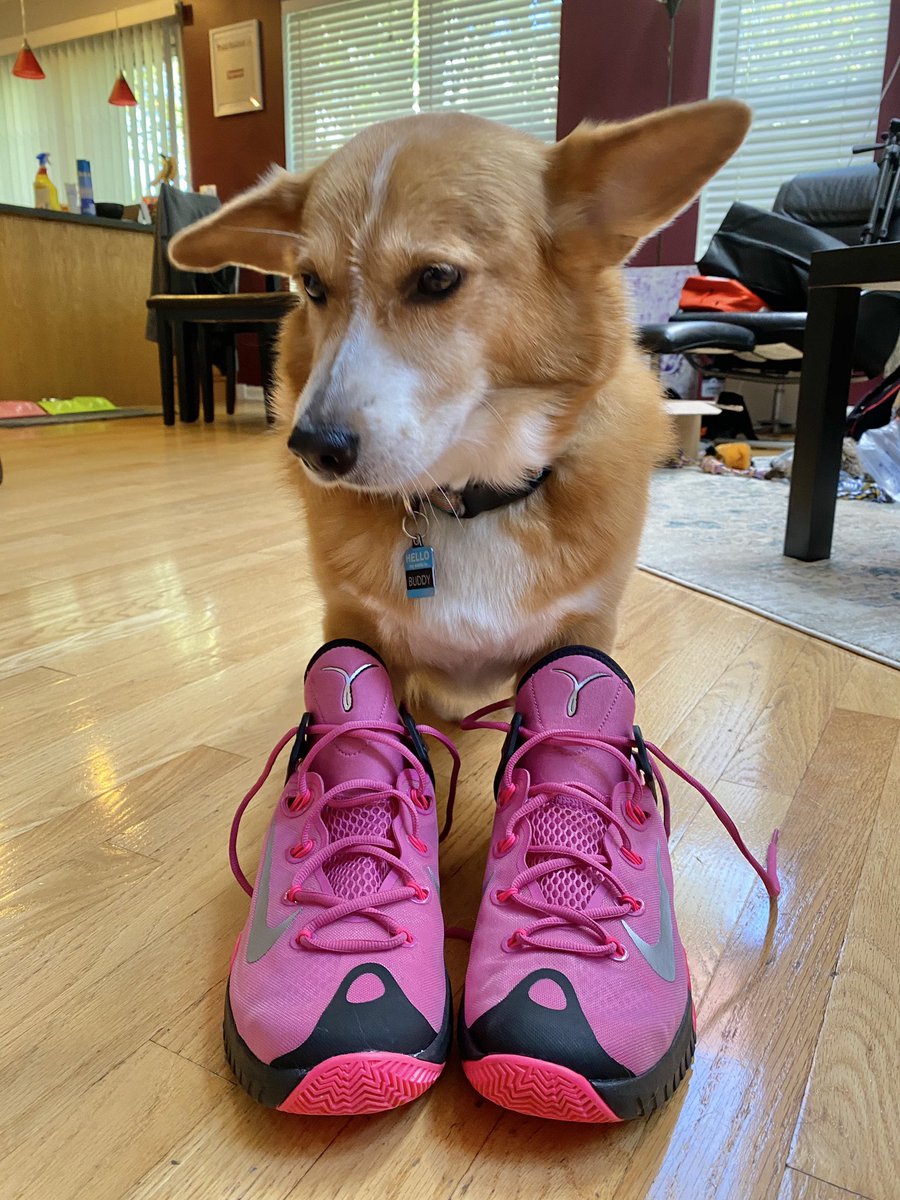 YoungMagenta83's tweet photo. Unboxed π¦πππΆπΆ APPROVED! #NikeHyperRev #TheyWantedToTryIT #MagentaSneakerHeads https://t.co/qTMXaXbftF