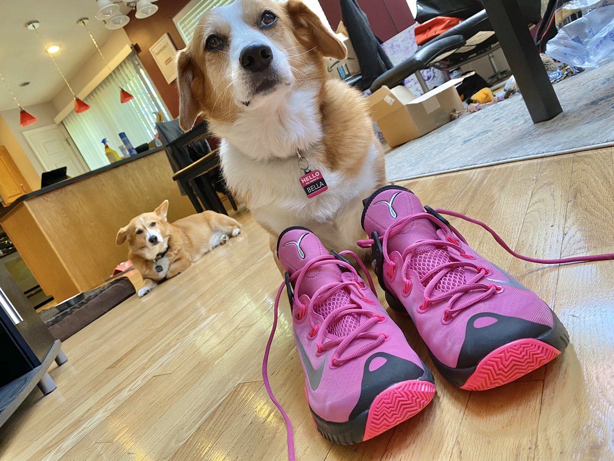 YoungMagenta83's tweet photo. Unboxed π¦πππΆπΆ APPROVED! #NikeHyperRev #TheyWantedToTryIT #MagentaSneakerHeads https://t.co/qTMXaXbftF