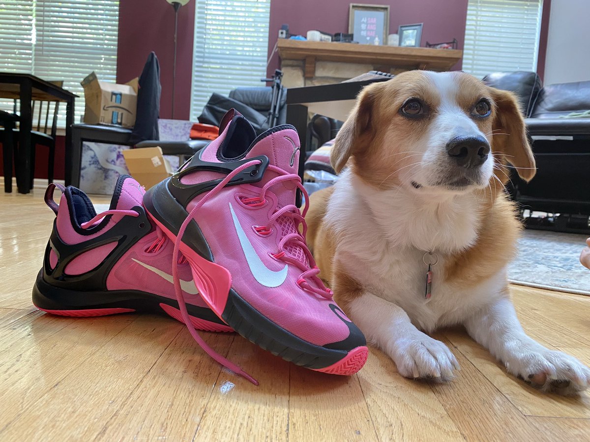 YoungMagenta83's tweet photo. Unboxed π¦πππΆπΆ APPROVED! #NikeHyperRev #TheyWantedToTryIT #MagentaSneakerHeads https://t.co/qTMXaXbftF
