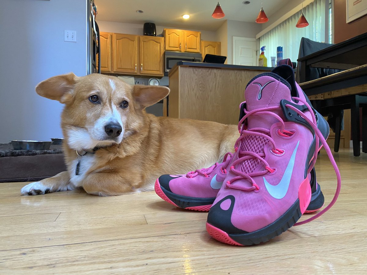 YoungMagenta83's tweet photo. Unboxed π¦πππΆπΆ APPROVED! #NikeHyperRev #TheyWantedToTryIT #MagentaSneakerHeads https://t.co/qTMXaXbftF