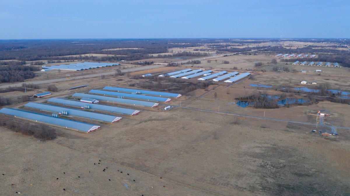 I have to stop myself from calling these monstrosities on the agenda "farms." ONE of these is a farm. The others...?  The pic on the left is a farm w/ 80 free range laying hens. In the other pic is about 1.5 MILLION broiler birds in those barns. They are 3 miles apart.  #OkLeg