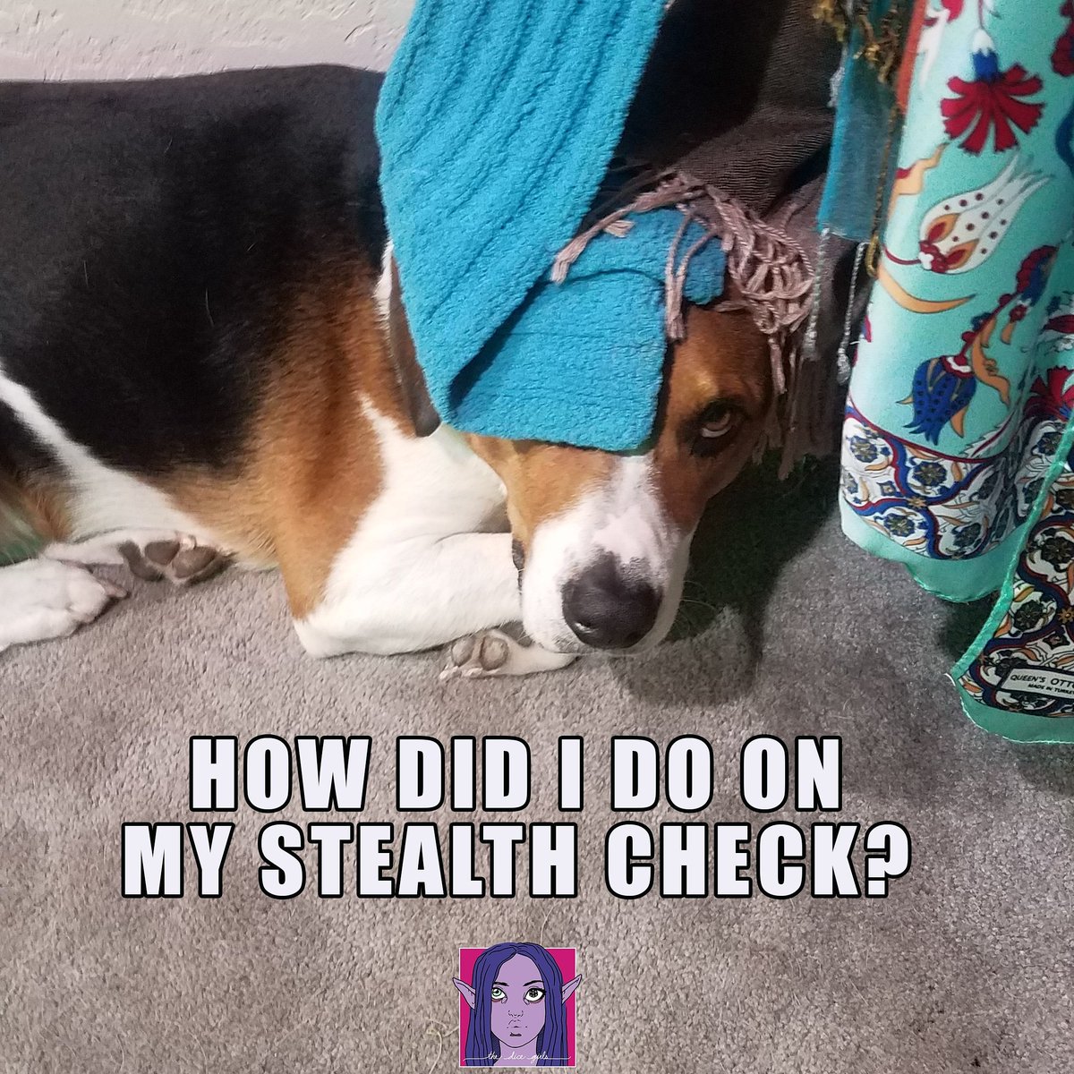 Ummm we can't see you at all...