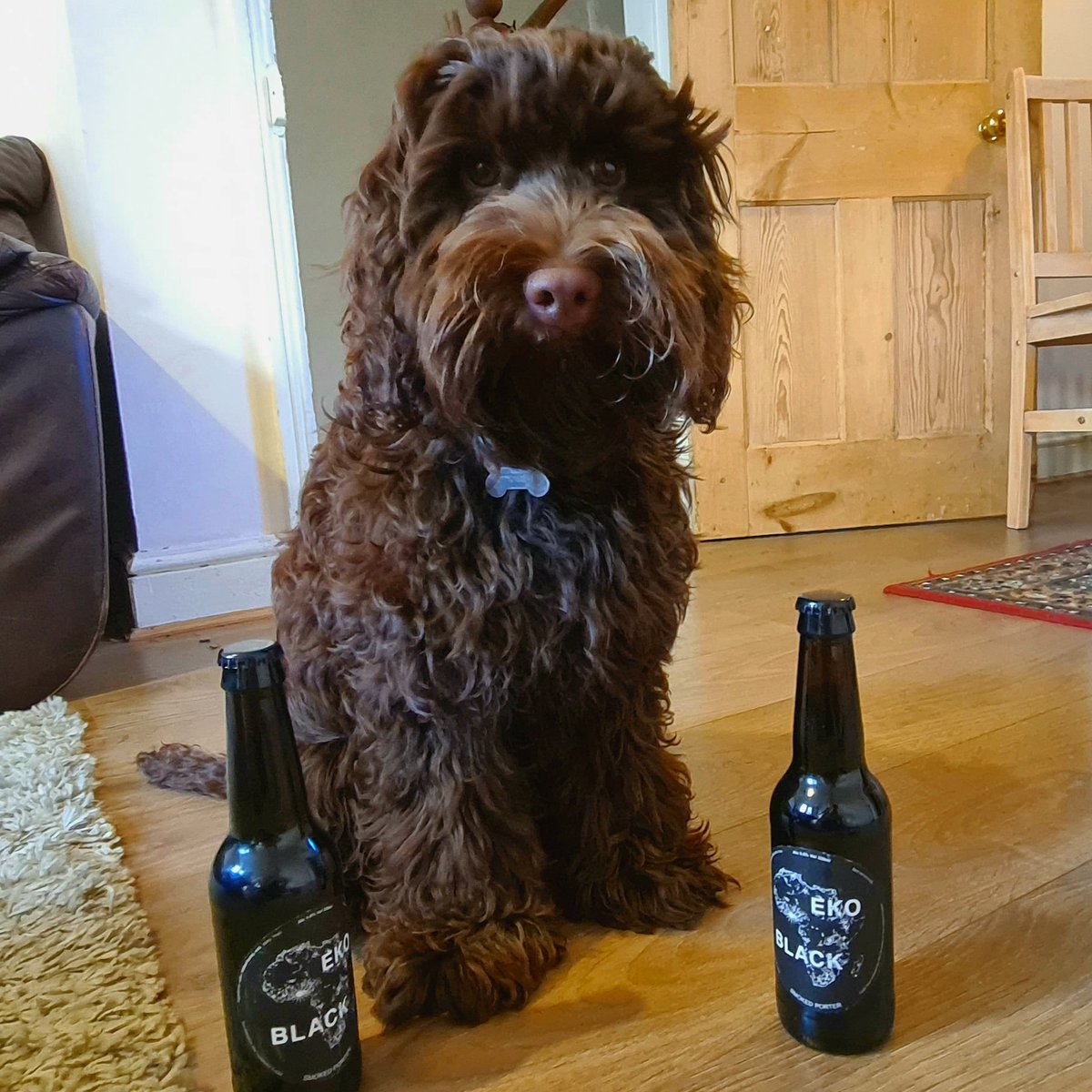 HopsTour's tweet photo. A few weeks back we got hold of some @ekobrewery beers for our #TourdeHops cycle club ride.

I broke a derailleur. Then the beers got drunk.

The ride was on a knife edge. But we made it work.

Here's that story in our latest blog post!

https://t.co/srTRJJa5C9 https://t.co/wwHiPrkYwJ
