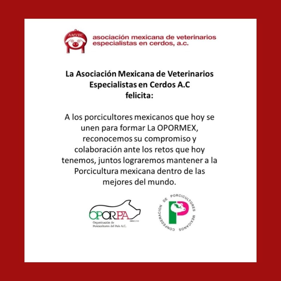 AcAmvec's tweet image. 