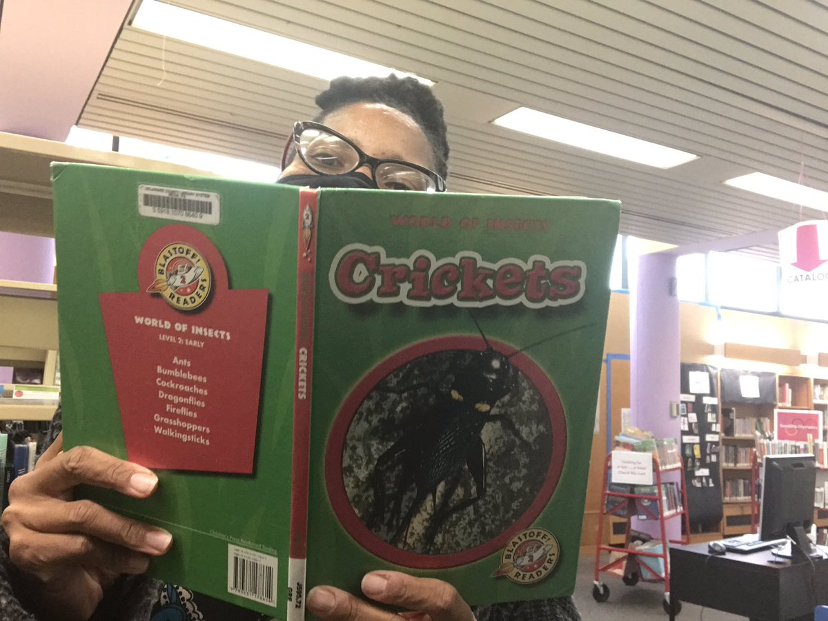 HaverfordLib's tweet photo. We had a special visitor in the community room! Ms. Rachée took this an opportunity to learn more about crickets!
Did you know that crickets are insects that sing, each kind of cricket has a different song?
Learn more about crickets during your next visit to the Library.
#myhtfl https://t.co/qF7tQQ3gWE