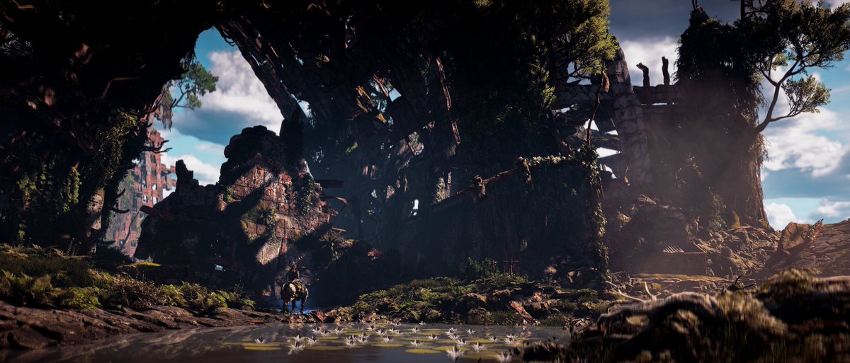 oreosbestcookie's tweet photo. #HorizonZeroDawn in game graphics and textures. xCunt can’t make games with such stunning visuals. #PS5 > #HaloInfinite @XcloudTimdog @aarongreenberg and this is a PS4 game. #HorizonForbiddenWest looks much better. https://t.co/TFOI1IACmi