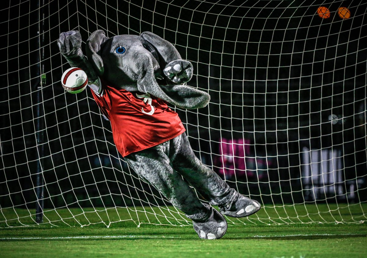 Big Al here to SAVE the day! ⚽️🐘

#WorldElephantsDay | #RollTide