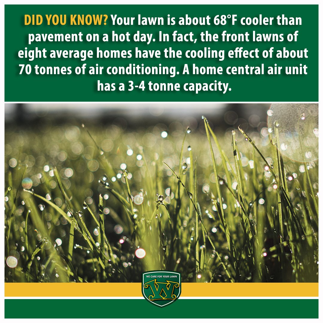 Did you know? Your lawn is about 68°F cooler than hot pavement. In fact, the front lawns of eight average homes have the cooling effect of about 70 tonnes of air conditioning. A home central air unit has a 3-4 tonne capacity. #TurfTip #lawncare #wecareforyourlawn