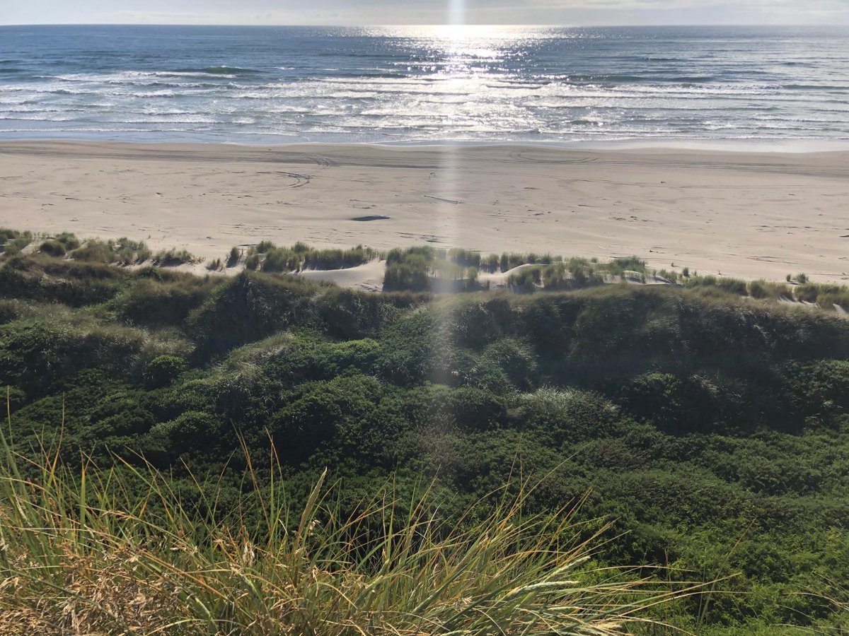 Where is your favorite golf course resort? Here is one we LOVE in Oregon....beaches and dunes... what could be better?! 

#FlexGolfTour #TourPlayer #Golf #Golfing #GolfTour #GolfSwing #Golfstagram #GolfLife #GolfCourse #GolfPro #GolfIsLife