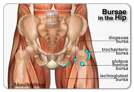MendMeShop's tweet photo. A #bursa is a sac of synovial fluid, rich in #protein and collagen that acts as a cushion to protect soft tissue, such as #tendons, #ligaments and muscle, from friction and excess pressure. https://t.co/jhkMuAZ0pz #mendmeshop  #bursitis https://t.co/PBSvxgSHft