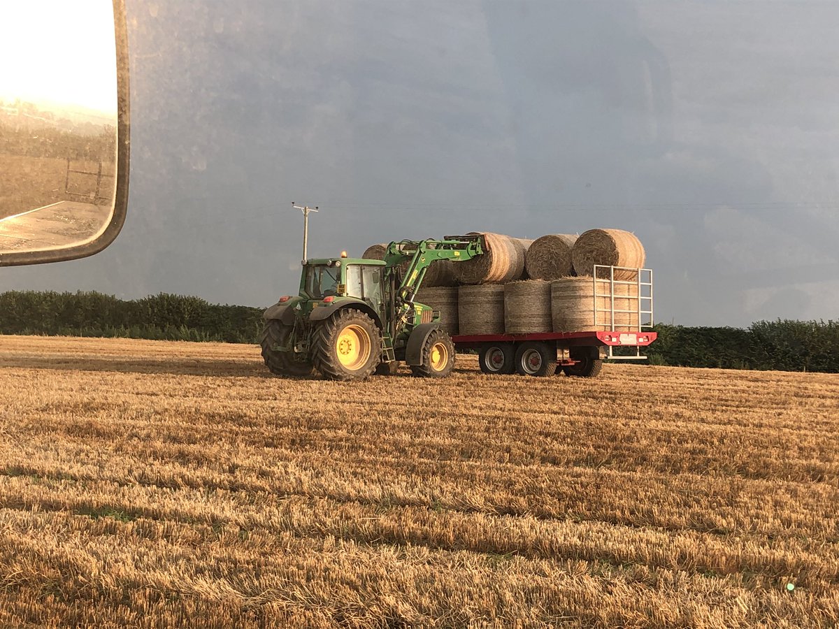 Sky looks threatening, will we beat the rain#harvest