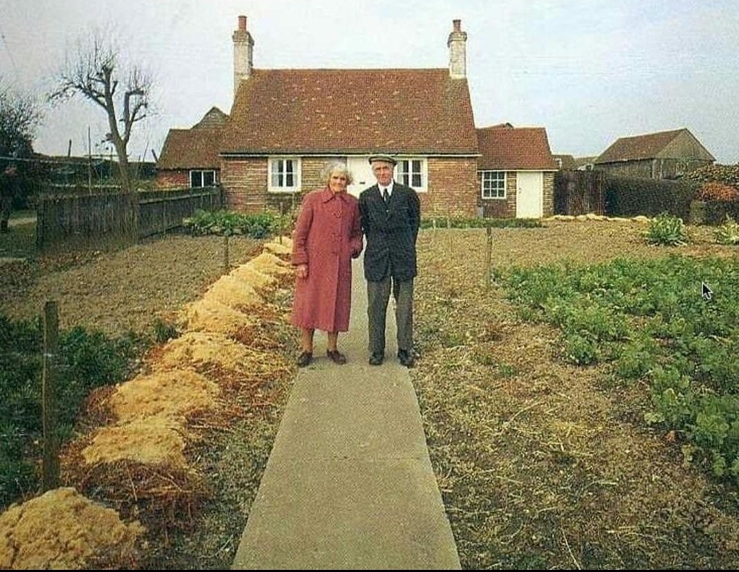 etimoloji's tweet photo. Tahassür, yana yakıla özlemek demektir. Hasretten küle dönercesine özlemektir. Zira sevgilinin yokluğunda hissedilir tahassür. Arapça haser “yanıp yakılmak” sözcüğünden gelir. https://t.co/KXwn7CH2iy