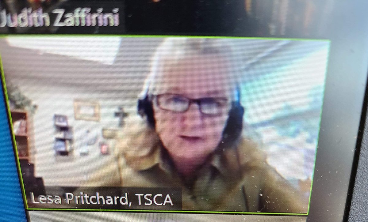 TxSCATweets's tweet photo. Great job to our President Lesa Pritchard on this panel discussion by @JudithZaffirini !! #TexasCounselorsCare #Covid19 #BackToSchoolSolutions @TxCAtweets https://t.co/YqQ6oaJ8ui