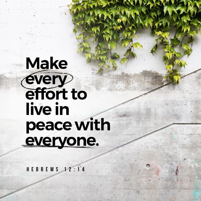 SeattleICC's tweet photo. Are you making every effort? Hebrews 12:14 #BVD #SeattleICC #BlessedInTheNorthwest #QuietTime https://t.co/Q0iIH5YJB8