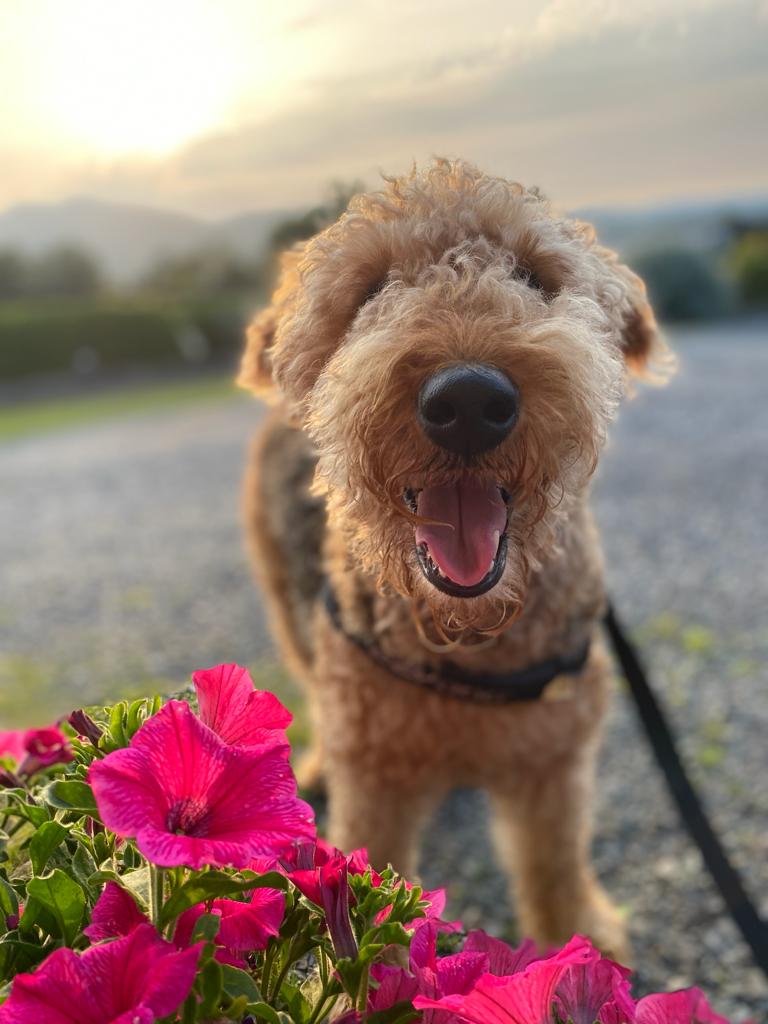 Cool in Blue or Pretty in Pink what do you think?