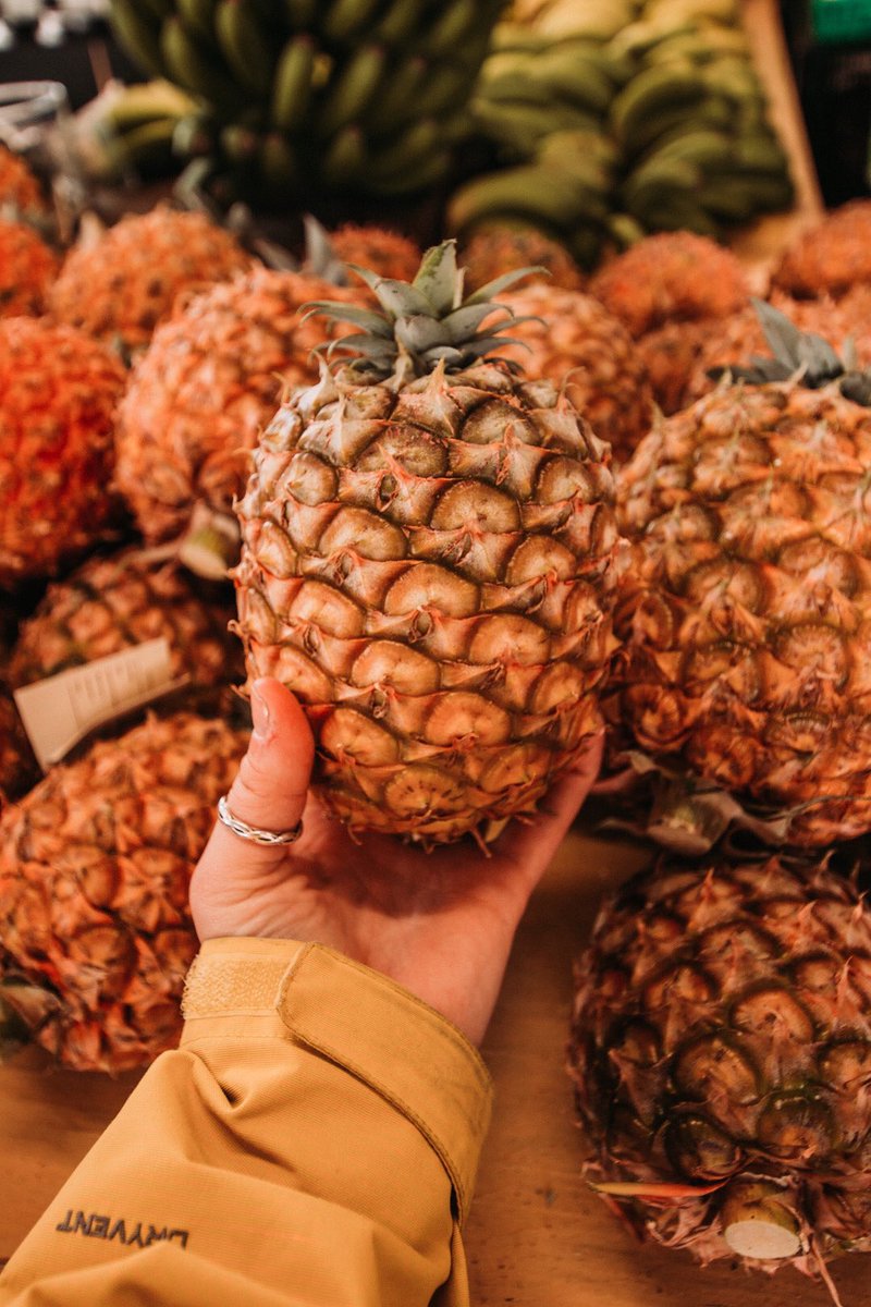 Forget tropical storms ... bring me tropical fruit! 😍#capturewithsoka