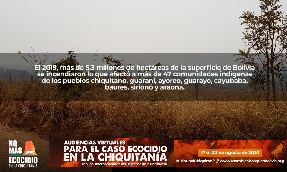 CCyJusticiaBoli's tweet photo. En 2019, más de 5,3 millones de hectáreas de la superficie de #Bolivia se incendiaron lo que afecto a más de 47 comunicades #indígenas!
Sigue a las audiencias del #TribunalChiquitania #TIDN en las RRSS:
@CCyJusticiaBoli @AsambleaBosques @rights4nature #SOSChiquitania #Amazonía https://t.co/QdFGhNum7W