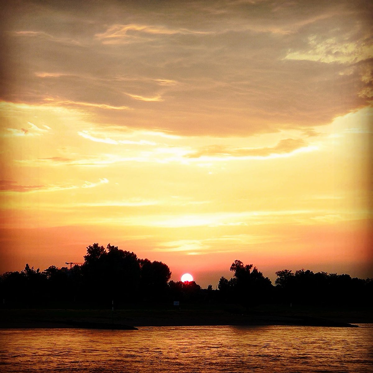 schmitzerpics's tweet photo. Achtung! Achtung!
Romantikalarm am Rhein https://t.co/E8T1UZPDIM