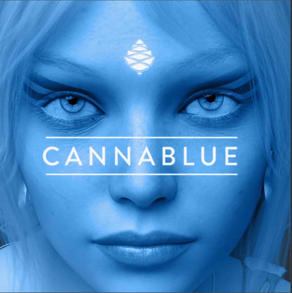 keepcannablue's tweet image. All first time orders are always 25% OFF!

#keepcannablue #bayarea #cannabiscommunity