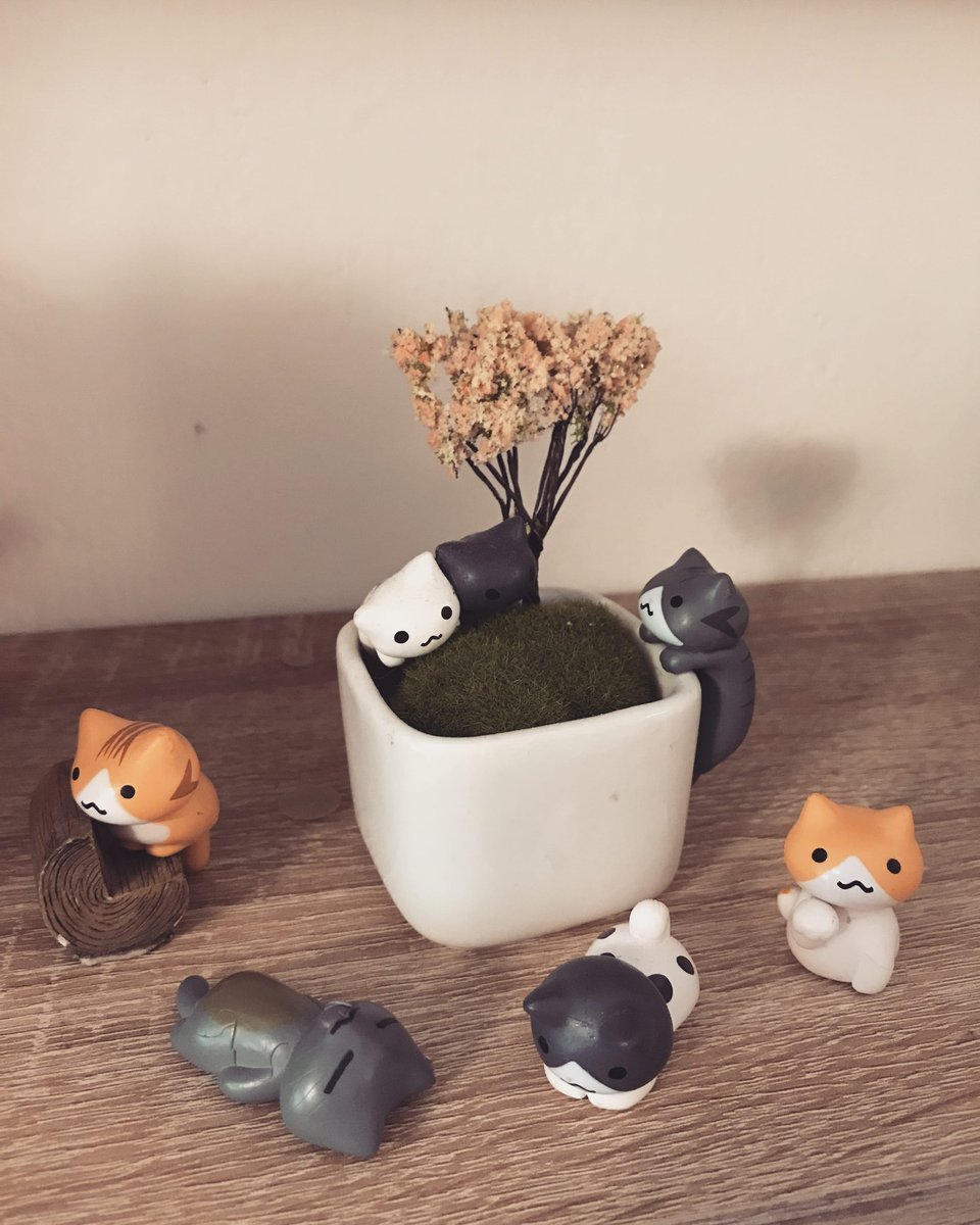 I'm so in love with my new mini cats decoration ❤️❤️

#cat #cute #cats #decoration #decorations #catdecoration #catdecorations #fairygardencat #fairygardencats #fairygardentree #pot #tree #cutecat #cutecats #minicat #minicats #smallcat #smallcats #deco
