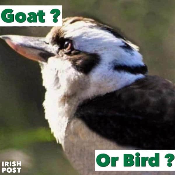 Confusing?! Bet it makes you smile though!