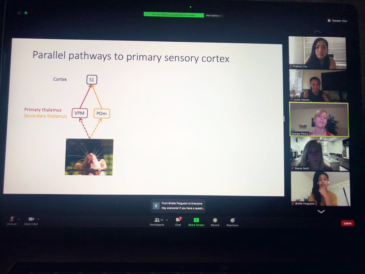 Leslie Sibener, PhD tweet media