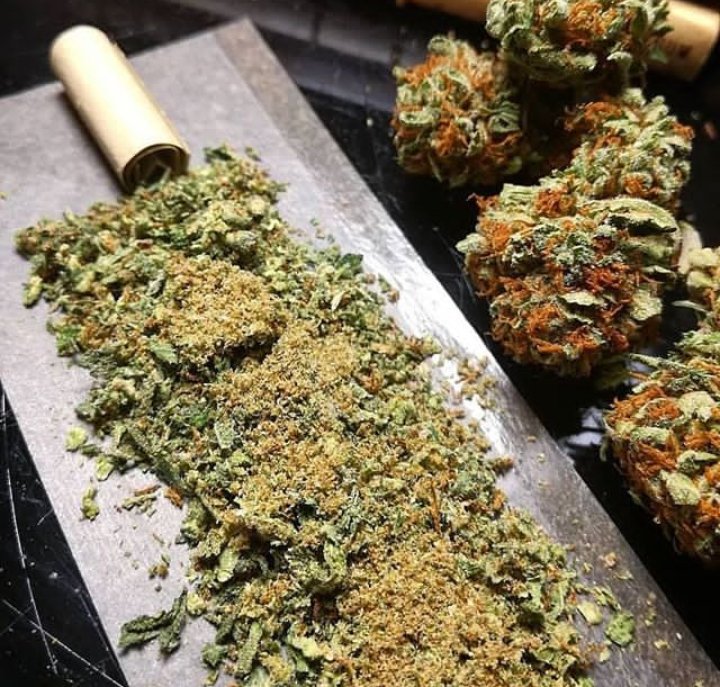 CruzDimo's tweet image. 