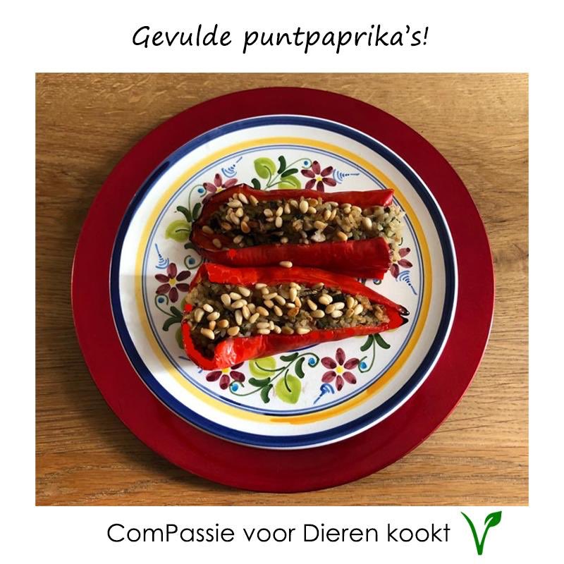 CompassieD's tweet photo. @estherouwehand ComPassie voor Dieren, het is zo makkelijk. Lekker, gezond #plantaardig eten. Lief voor dieren, beter voor het milieu en dus goed voor de mens. Gevulde puntpaprika’s met risotto, paddenstoelen en lente-ui in groentebouillion met eventueel pijnboompitjes. https://t.co/unTVvoQrVW