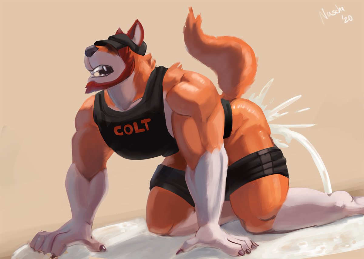 NascheTheDoggo tweet picture