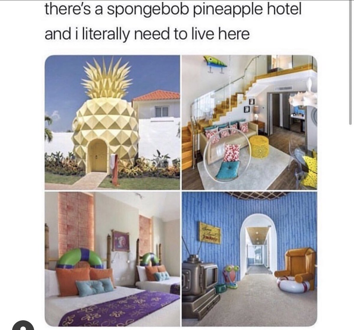 bennysoliven's tweet photo. Plz tell me this is real?! Pack your bags @Alondradessy we going to Bikini Bottom! https://t.co/9TijjFSFKm