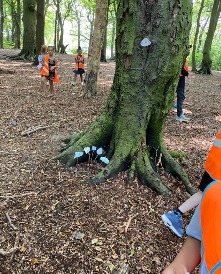 ClaireMcglynn6's tweet photo. Den making, fairy hunting and story  telling in the woods today with our holiday club children and what a magical day it was 💫  🧚‍♀️ #Ls2ynurseries #holidayfun @ls2y_group #abchub https://t.co/LHd1awIv3j