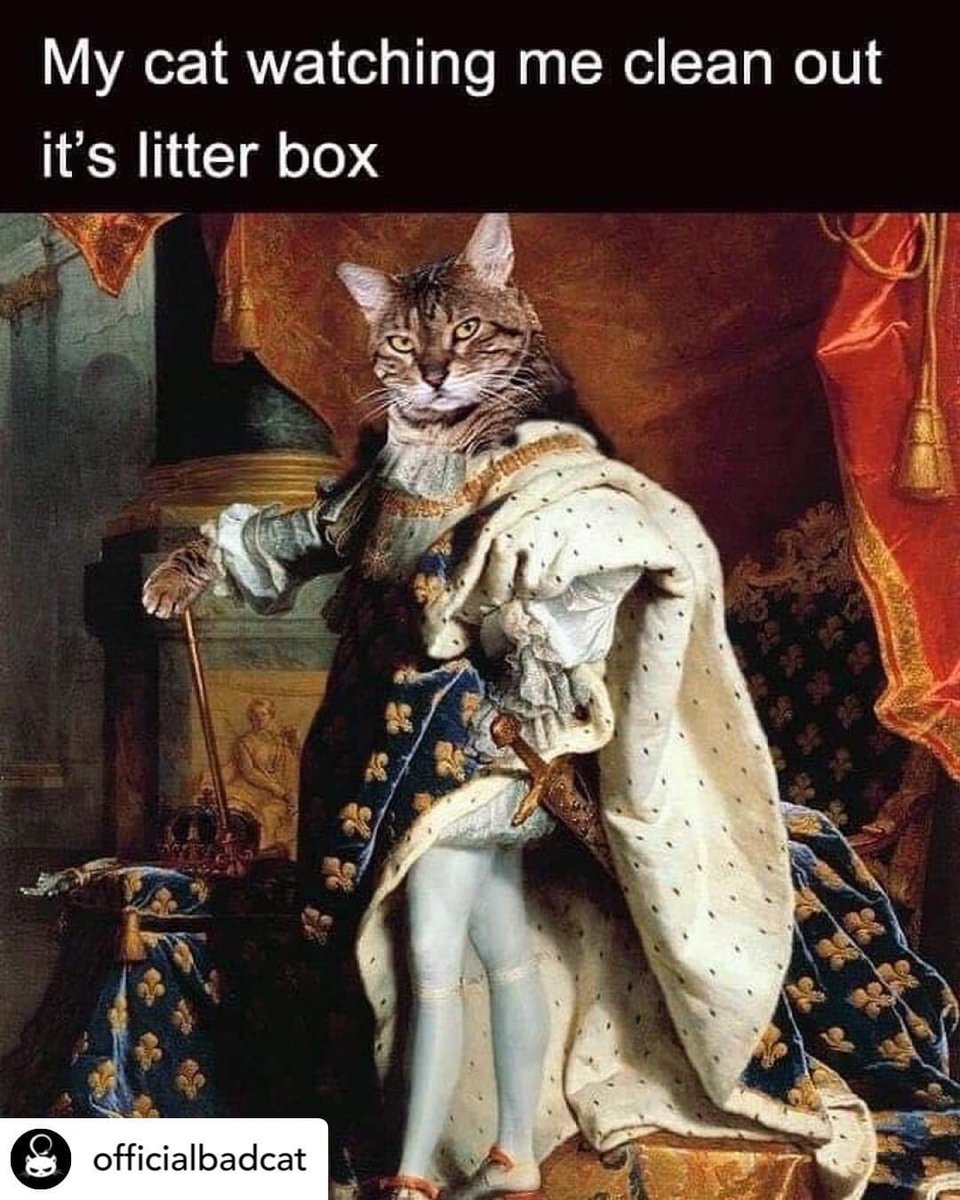 vetforcatsonly's tweet photo. Yup! And then I finish and he jumps back in and goes again.  #vetforcatsonly https://t.co/BSis54aLQK