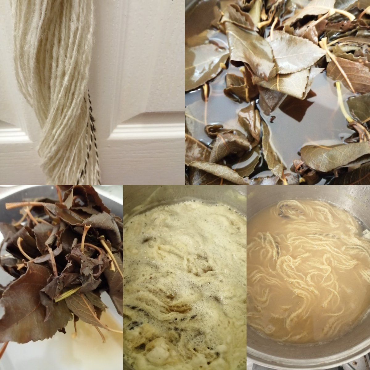 BridieTonge's tweet photo. From fleece to dye pot. Yesterday I stripped willow leaves from severally pruned tree. Soaked boiled and left them. Today i plyed spun wool and dipped it into dye bath, simmered it. Left to steep until saturday. @woolhour #naturaldyedyarn #handspunwool https://t.co/2DpaLUIG7T