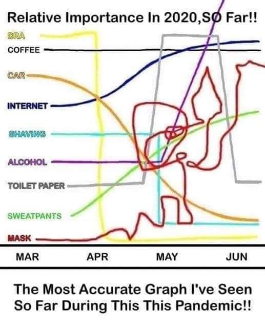 Scoop (@thebionicscoop) on Twitter photo 