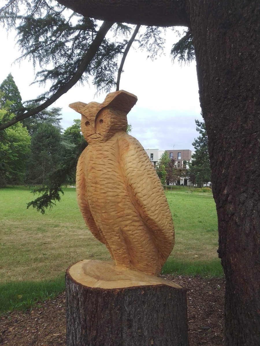 Comment vous trouvez ?