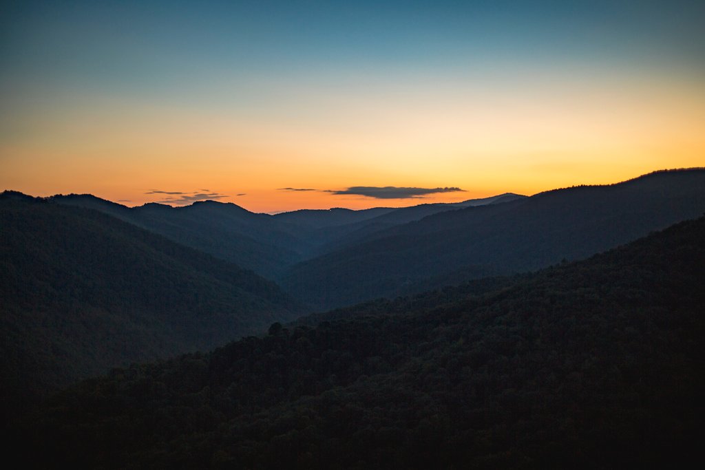 Visit Lynchburg VA tweet media